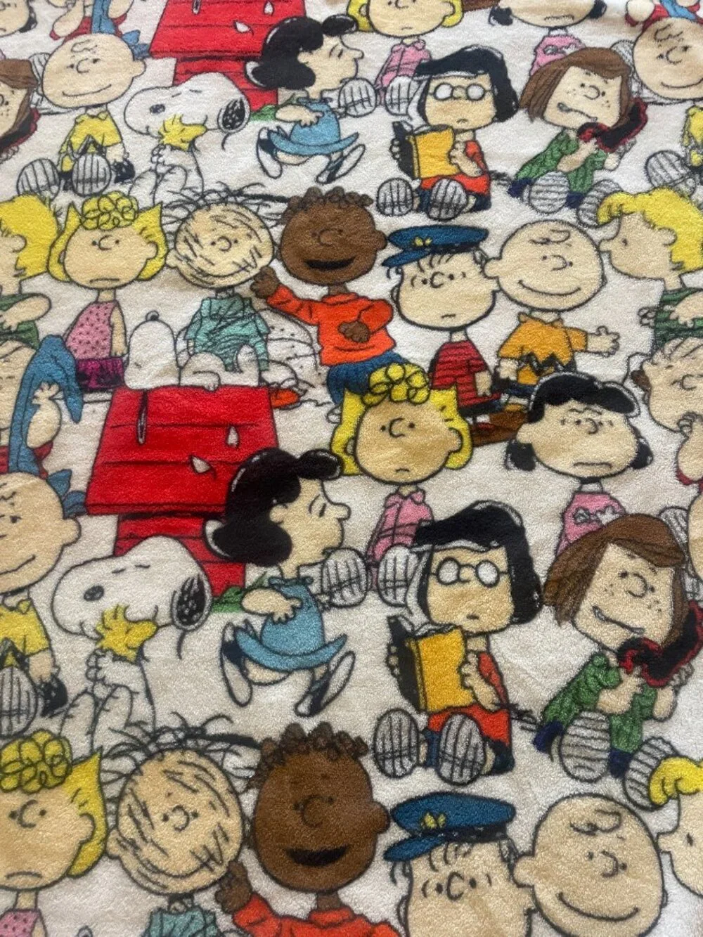 Peanuts Bioworld Charlie Brown Throw Blanket 55